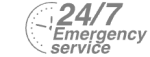 24/7 Emergency Service Pest Control in Hampstead, NW3 . Call Now! 020 8166 9746