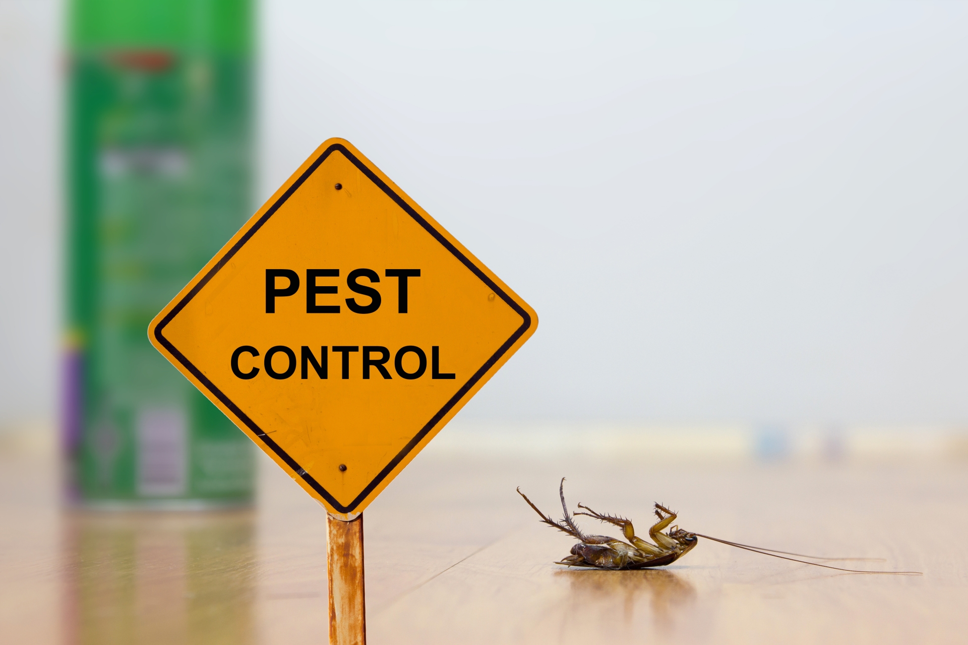 24 Hour Pest Control, Pest Control in Hampstead, NW3 . Call Now 020 8166 9746
